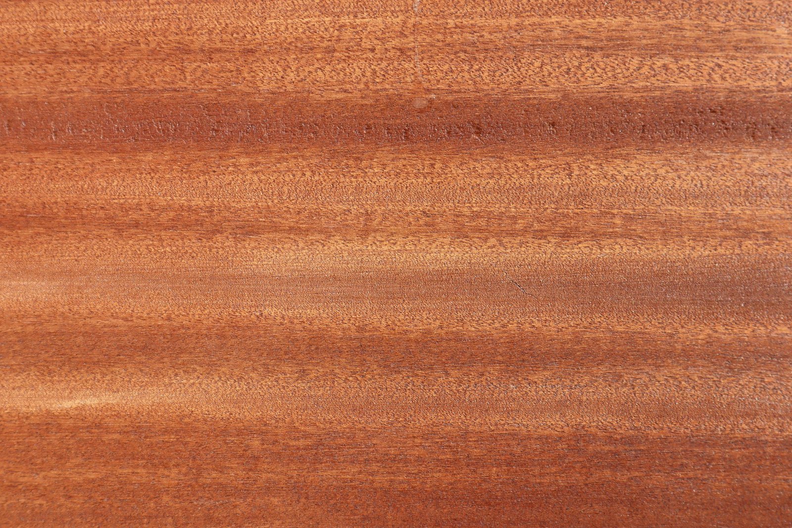 Soft close-up of natural oak wood grain texture